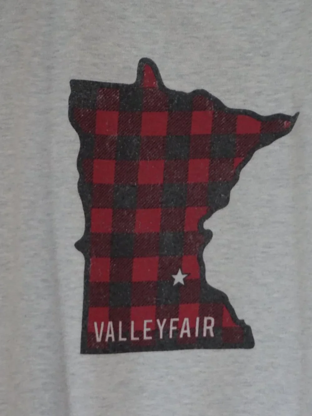 Minnesota Valleyfair Light Gray Crewneck Sweatshirt (medium)